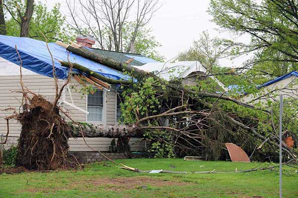 Expert Storm Damage Restoration