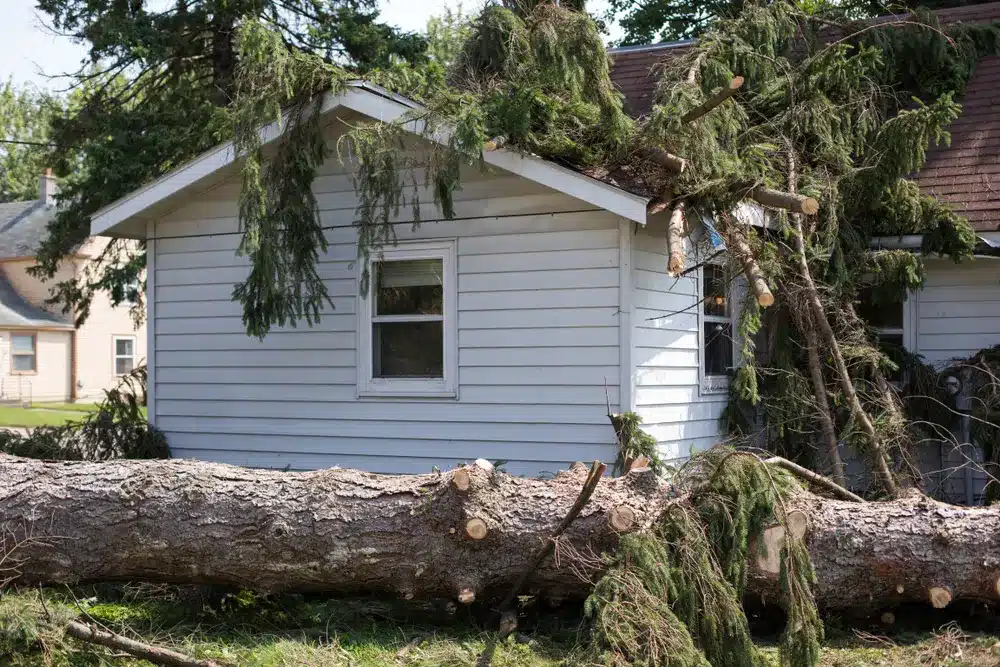 Storm Damage Restoration storm damage restoration